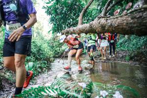 BIB: 
                            <button type="button" onclick="openModal(25476198)" class="btn btn-primary btn-sm float-right btn-popup" data-toggle="modal" data-target=".modal-high-quality">
                        <i class="fas fa-shopping-cart"></i> Add to Cart
                    </button>
                                            <button type="button" onclick="isThisMe(25476198, true)" class="btn btn-success btn-sm float-right btn-popup btn-isme hidden" data-toggle="tooltip" data-placement="bottom" title="นี่คือรูปของคุณใช่ไหม คลิกที่นี่เพื่อเอาเข้าอัลบั้ม">
                        <i class="fas fa-plus"></i> Add to album
                    </button>
                    <button type="button" onclick="isThisMe(25476198, false)" class="btn btn-warning btn-sm float-right btn-popup btn-isnotme hidden">
                        <i class="fas fa-ban"></i> Remove from album
                    </button>